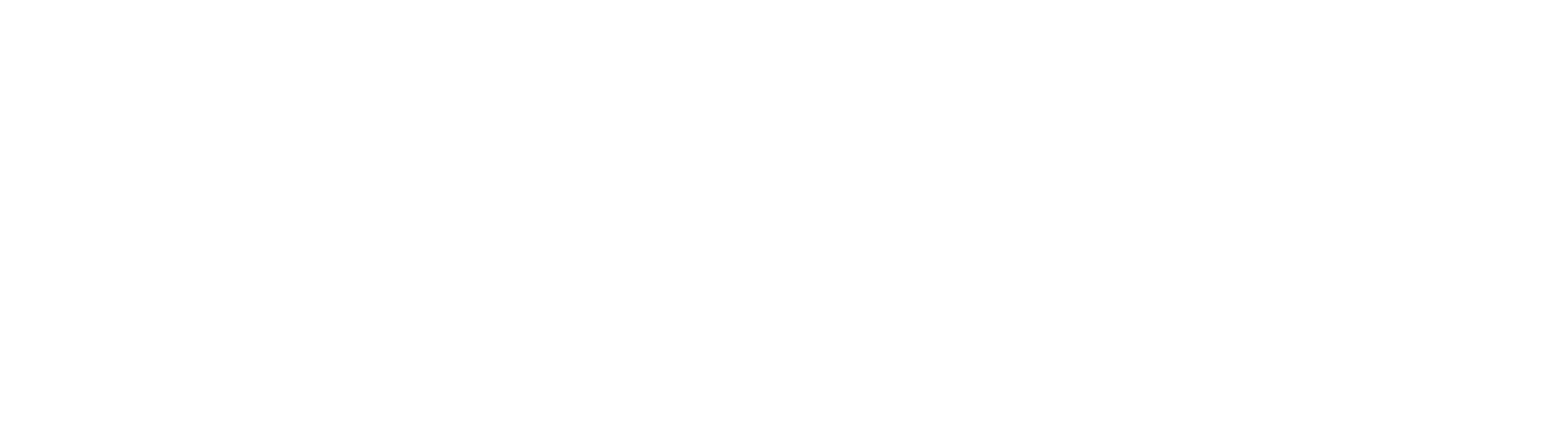 Swiss Montagebau GmbH